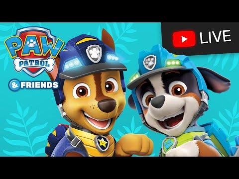 🔴 PAW Patrol Dino Rescue with Rex! Episodes Live Stream | Cartoons for Kids